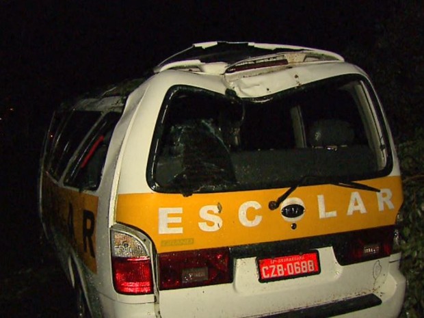 Em Araraquara, uma van escolar foi atingida por uma árvore que caiu durante o temporal (Foto: Marlon Tavoni/EPTV) 
